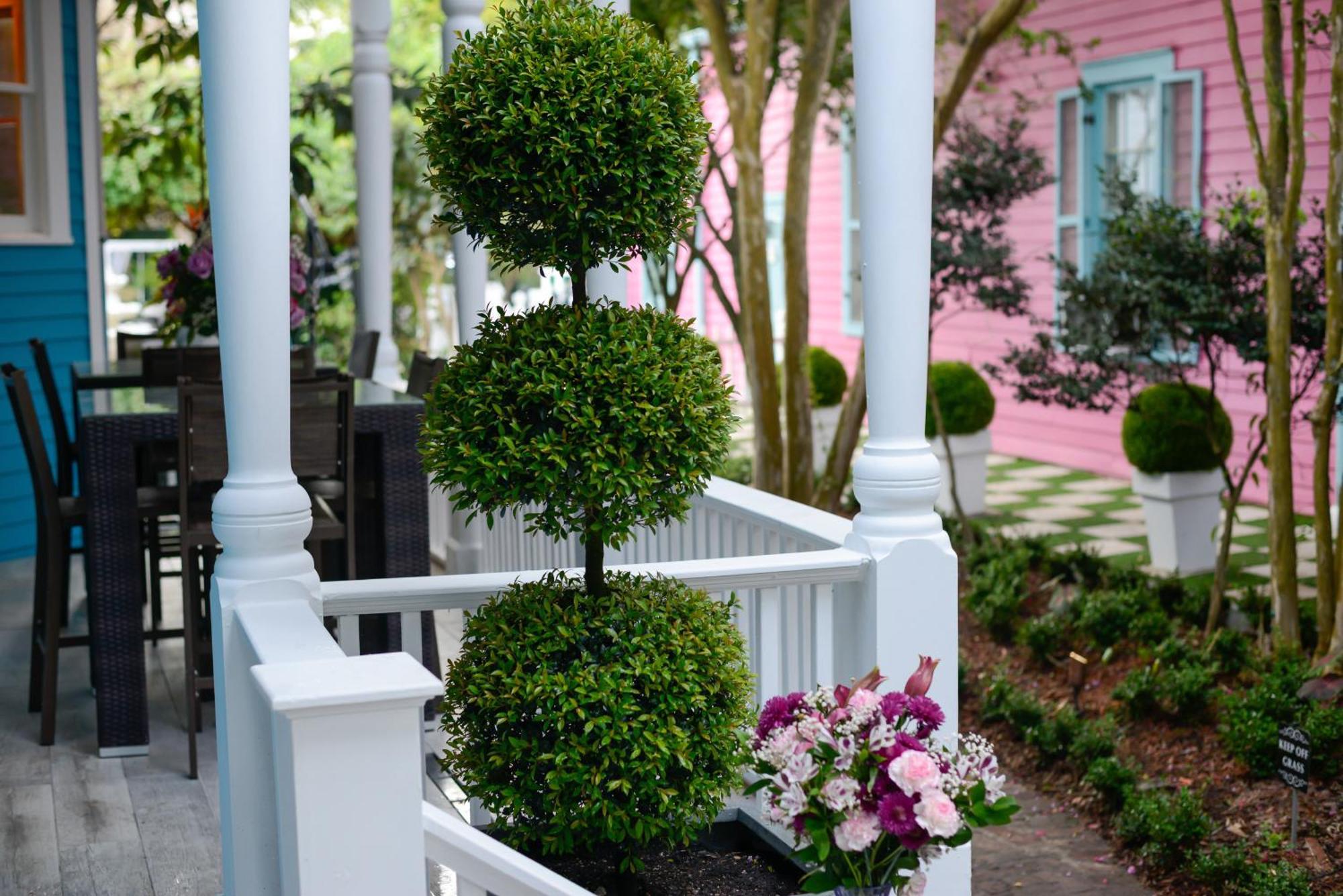 7 Bedroom - Sleeps 14! Next To Bourbon Street New Orleans Exterior photo